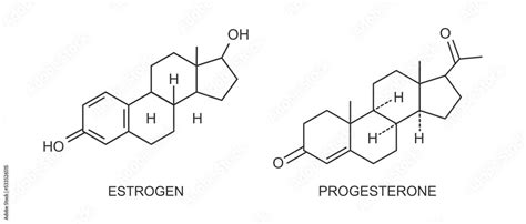 Vecteur Stock Estrogen And Progesterone Icons Female Reproductive Sex