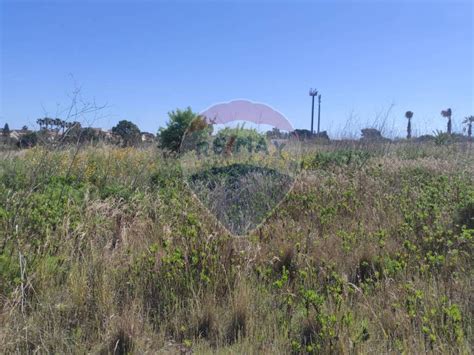 Terreno Agricolo Contrada Reitani Noto Rif Immobiliare It