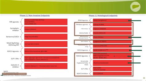 NASH Treatment: Review Of Current And Future Therapies For Non ...