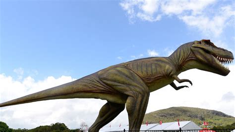 Stubby T Rex Arms Explained By Science