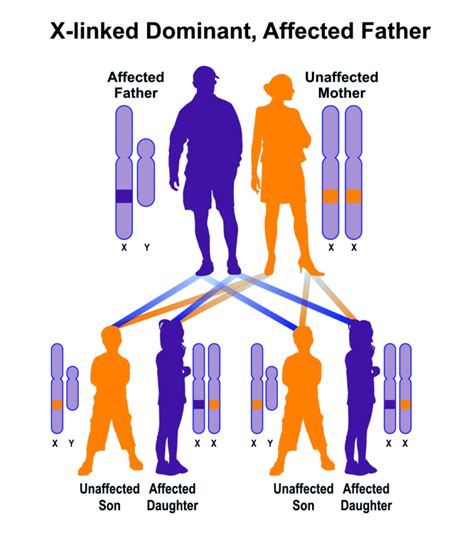 Genetic Facts Rare Disorders Society Singapore