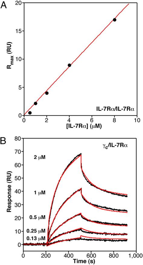 Spr Binding Studies Of Il 7rα And γ C At 25 °c A Steady State