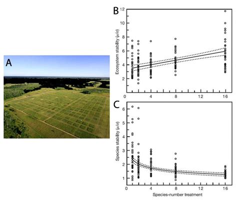 Biodiversity and Ecosystem Stability | Learn Science at Scitable