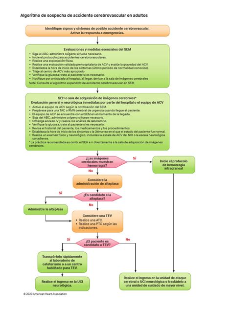 Algorithm Acls Suspected Stroke 200612 Descargar Gratis Pdf Carrera Neurología