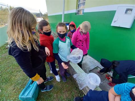 Escola Jos De Lima Classificada Na Etapa Sul Brasileira Da Mostra