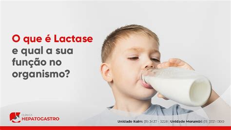 O Que é Lactase E Qual A Sua Função No Organismo Clínica Hepatogastro