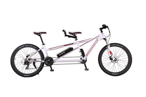 Popular Lithium E Bike Good Quality Famous Brand Aluminum Alloy