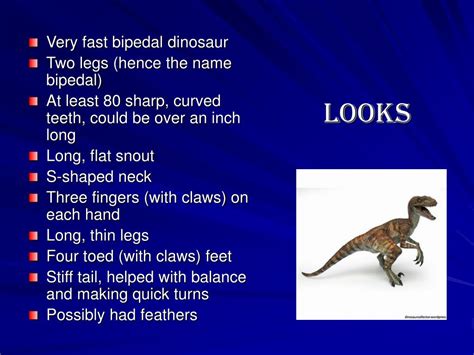 Ppt Velociraptor Powerpoint Presentation Free Download Id1710065