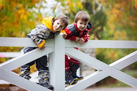 Dos Niños Adorables Hermanos Del Muchacho Jugando En Parque En DA