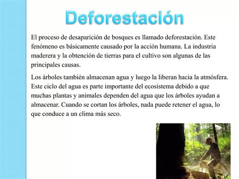 Consecuencias Del Deterioro Ambiental Ppt