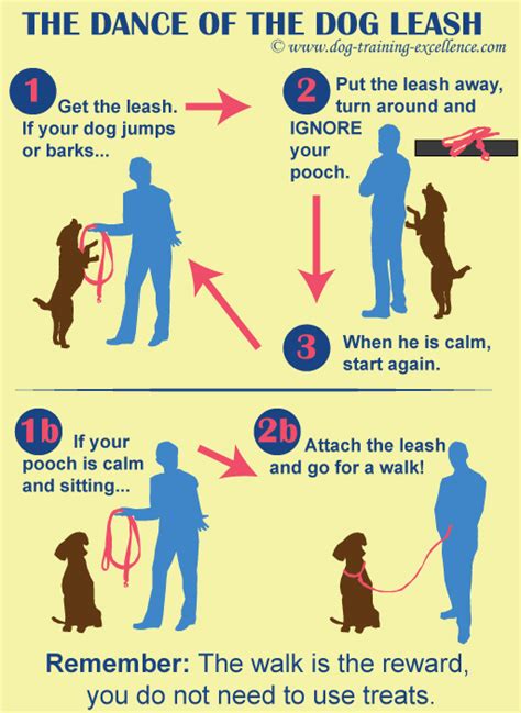 How To Stop Leash Pulling Strategies To Teach Your Dog To Walk With