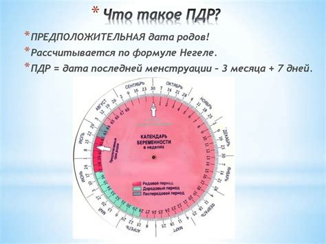 Калькулятор пдр по месячным