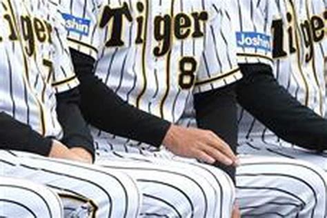 厳戒無観客甲子園阪神・矢野監督、奮起誓った！「楽しみやな阪神と元気を少しでも」（12ページ） サンスポ