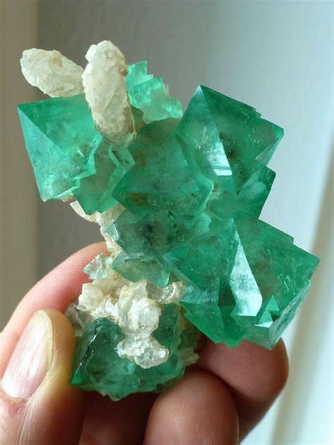 Pin on Gems and minerals | Rocks and minerals, Rocks and gems, Minerals ...