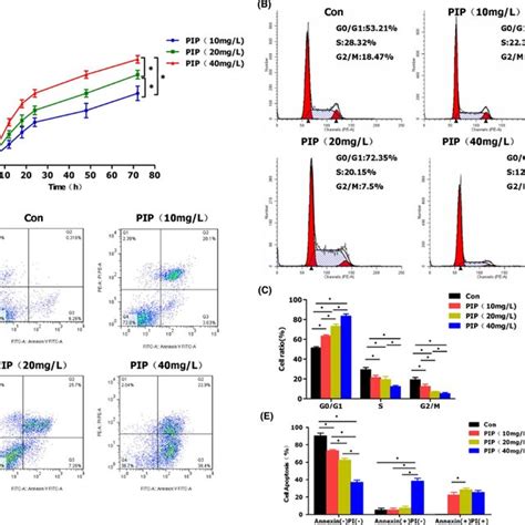 The Effects Of Pip On Proliferation And Apoptosis Of Hgc Cells A