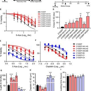 Aza Resistance In Testicular Cancer Cells Is Associated With