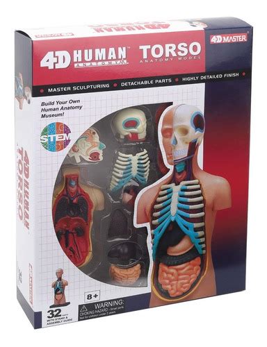 Anatomia Do Corpo Humano Estudos Torso D Master Human Frete Gr Tis