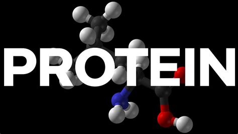 Protein, Muscle Protein Synthesis, and Strength Training - Weights and Plates