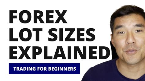 Forex Lot Sizes Explained Complete Beginner S Guide Trading Heroes