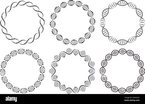 Dna Round Frames Circle Framing With Genome Helix Structure Isolated