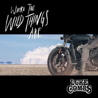 Meaning of Where The Wild Things Are by Luke Combs