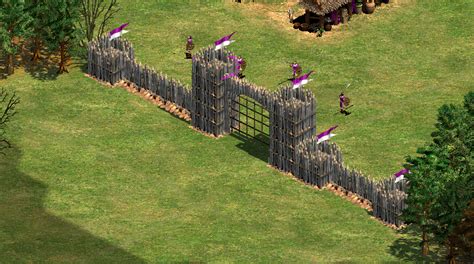 Palisade Gate Age Of Empires Series Wiki Fandom Powered By Wikia