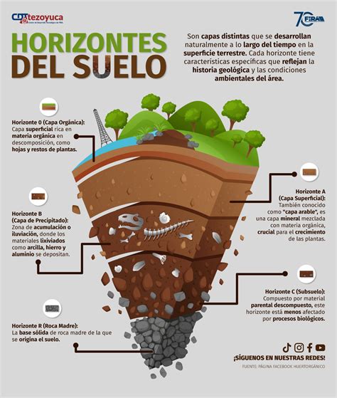 Cdt Tezoyuca 🌍🌱 ¡descubriendo Los Horizontes Del Suelo