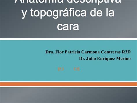 Anatomía De La Cara Ppt