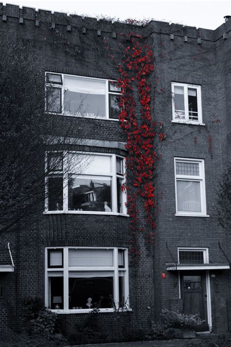 Free photo "Red only"