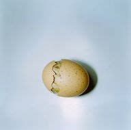 Rinko Kawauchi Ideas Rinko Kawauchi Sale Artwork Photographer