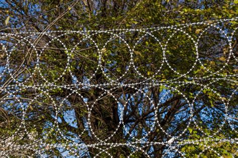 Barbed Wire Fence For Protection Purposes Of A Pproperty Stock Photo