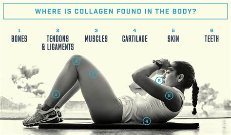 Does Collagen Help Bone Health | KeyNutrients – Key Nutrients