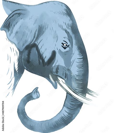 watercolor animals - african elephant vector Stock Vector | Adobe Stock