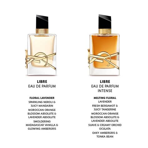 Difference Between EDP EDT Eau De Parfum Vs Eau De Toilette YSL