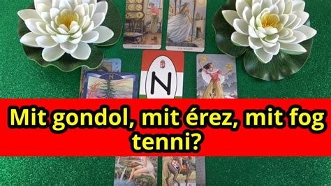 Gy Gondolja Hogy Nem Hiszel Neki J Sl S Ikerl Ng Tarot