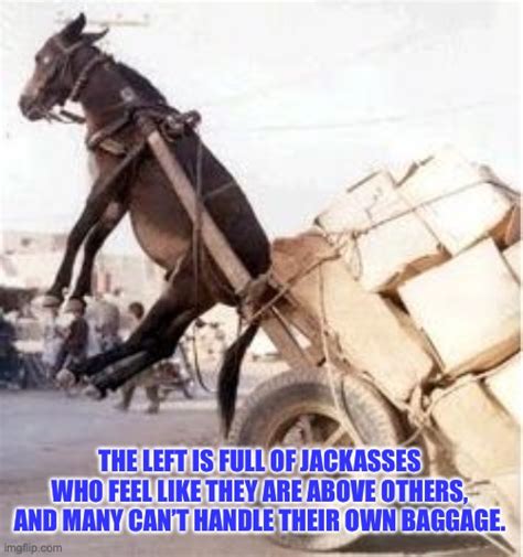 Politics Jackass Memes And S Imgflip