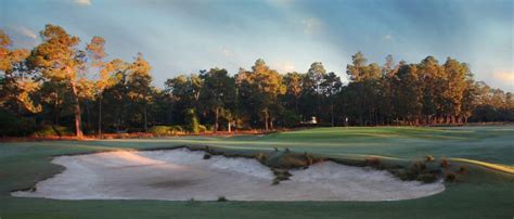 2024 US Open Pinehurst | pinehurst.com