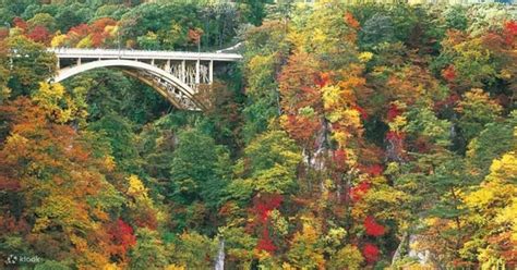 Naruko Gorge Autumn Leaves Ginzan Onsen One Day Bus Tour Klook