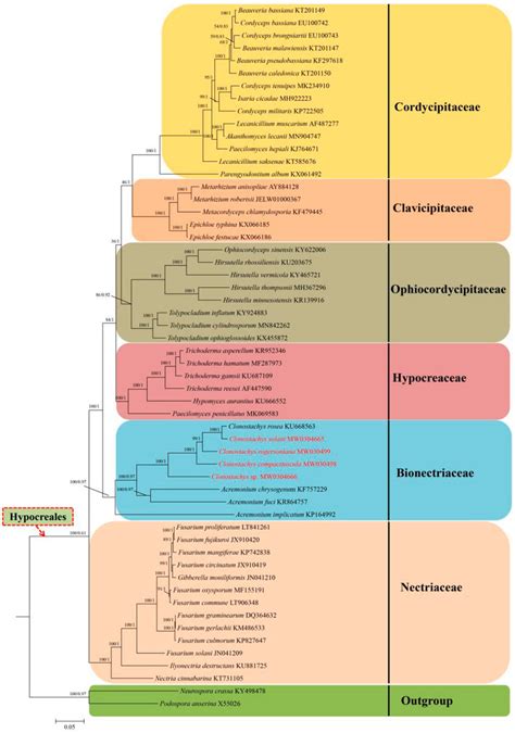 Molecular Phylogenies Of 54 Species Based On Bayesian Inference And