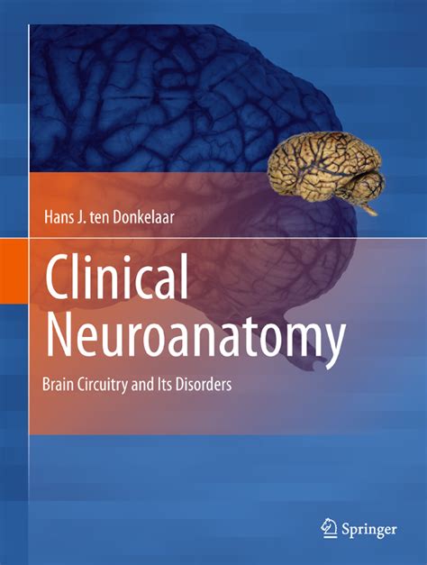 Pdf Springer Clinical Neuroanatomy Iustin Cantea