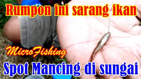 GAK NYANGKA Ternyata Mancing Di Sungai Strike Ikan Super Kecil Di