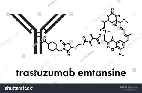 Herceptin Structure
