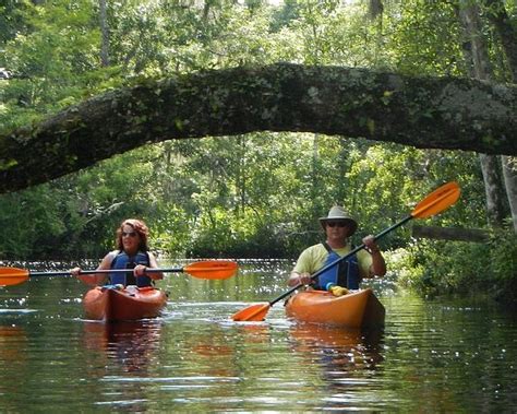 THE 15 BEST Things to Do in Kingsland (2025) - Must-See Attractions