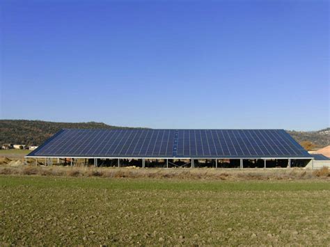 Éclairez vos cultures Innovations photovoltaïques en hangars agricoles