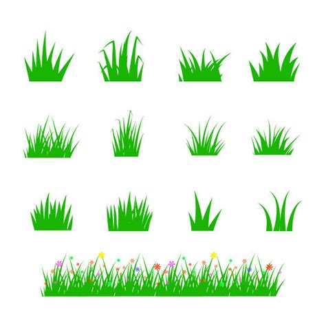 Cartoon Of The Grass Tuft Illustrations Royalty Free Vector Graphics And Clip Art Istock