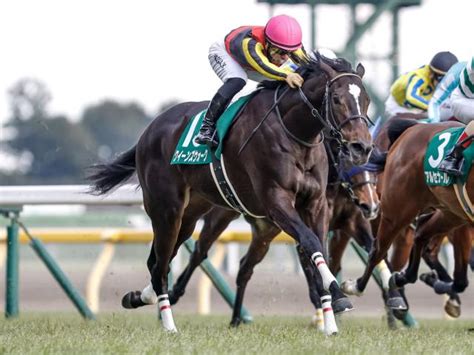 【桜花賞予想】満開の桜のもと素質が花開くか クラシックの幕開け飾る一戦 競馬ニュース Netkeiba