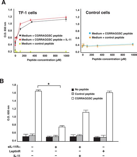 Biological Effects Of The Il 11 Like Peptide Cgrraggsc On Download