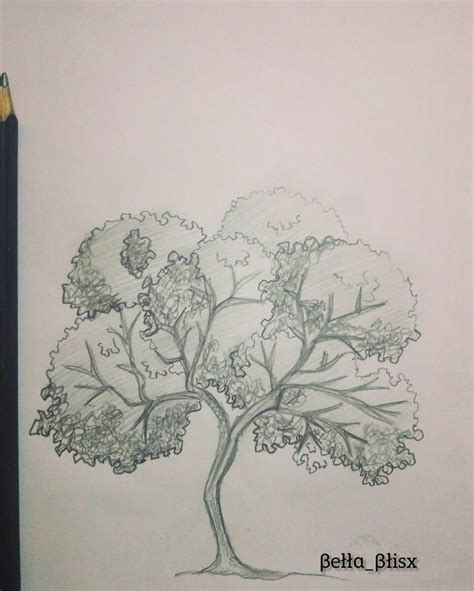 Sketch_1. | Tree sketches, Tree drawing, Shading drawing