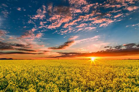 Fondos De Pantalla Luz De Sol Paisaje Comida Puesta De Sol Cielo