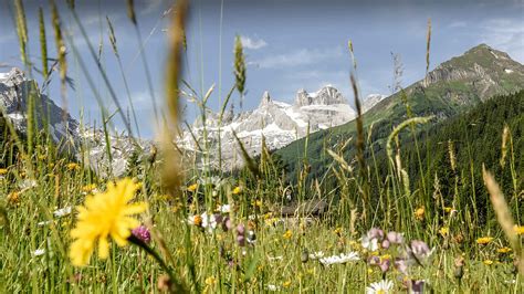 Gute Gründe Für Eine Wanderung